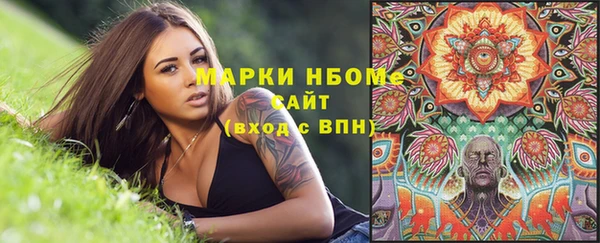 бошки Алексин