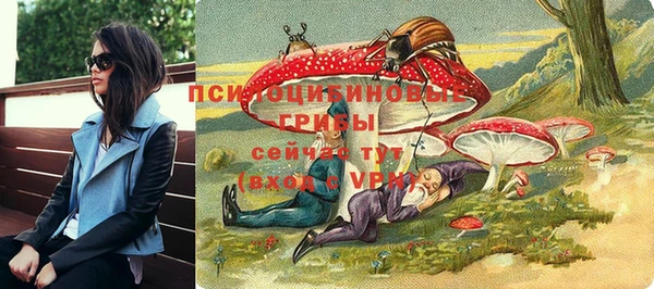 PSILOCYBIN Осинники