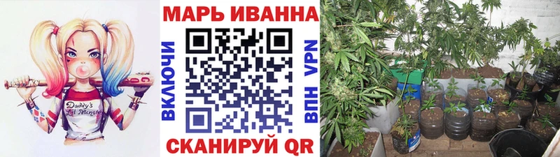 Шишки марихуана индика  Кыштым 